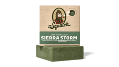 Sierra Storm